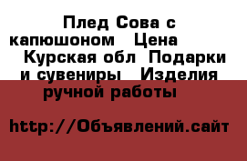 Плед Сова с капюшоном › Цена ­ 2 400 - Курская обл. Подарки и сувениры » Изделия ручной работы   